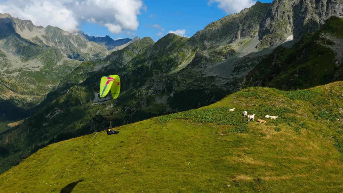 1d6d997810c70e06c04bd50f6e1bf2af4d996ba6-2500x1667 1d6d997810c70e06c04bd50f6e1bf2af4d996ba6-2500x1667