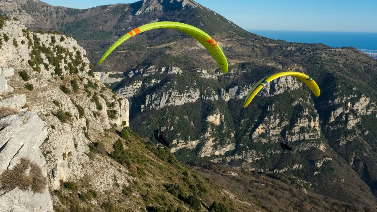 4c7a519e4d4e40ccab90140b838d62c0bafb4b18-2500x1667 4c7a519e4d4e40ccab90140b838d62c0bafb4b18-2500x1667