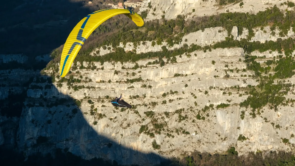 8b98b76aaba973a85047ff2232a727bf53b68c01-2500x1667 8b98b76aaba973a85047ff2232a727bf53b68c01-2500x1667