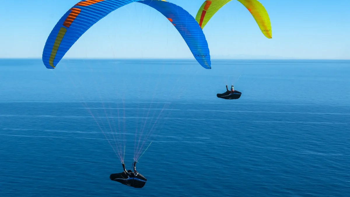 d5118ed710a3e0ce2f8c1ff4421bed09d373e463-2500x1667 d5118ed710a3e0ce2f8c1ff4421bed09d373e463-2500x1667