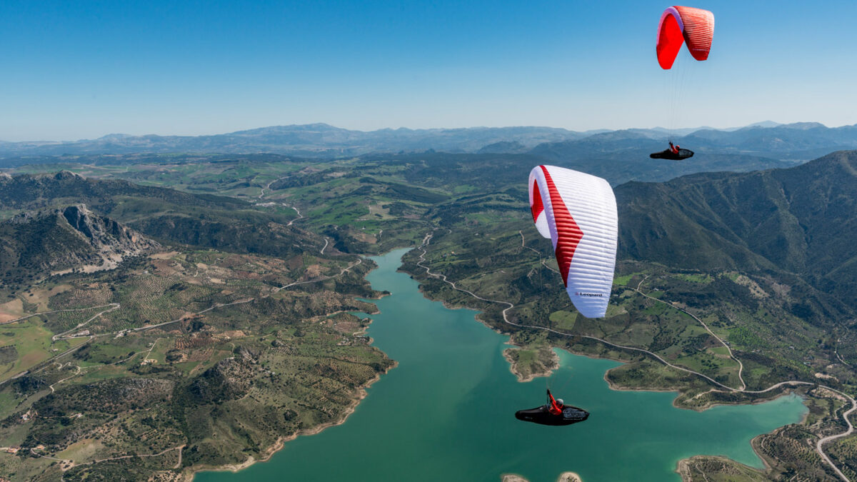 pg-leopard-128 pg-leopard-128