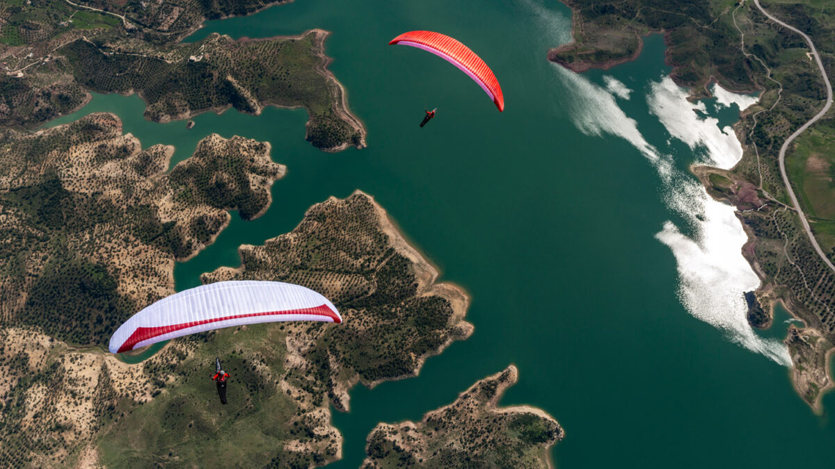 pg-leopard-131 pg-leopard-131