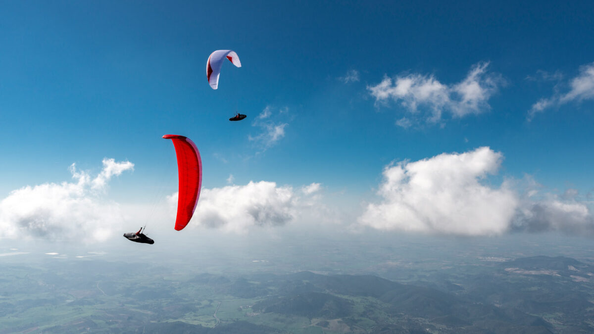 pg-leopard-154 pg-leopard-154