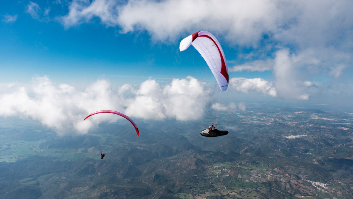 pg-leopard-161 pg-leopard-161