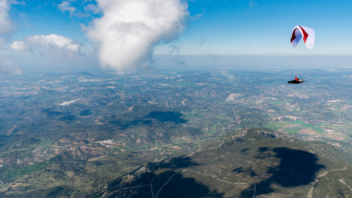 pg-leopard-166 pg-leopard-166