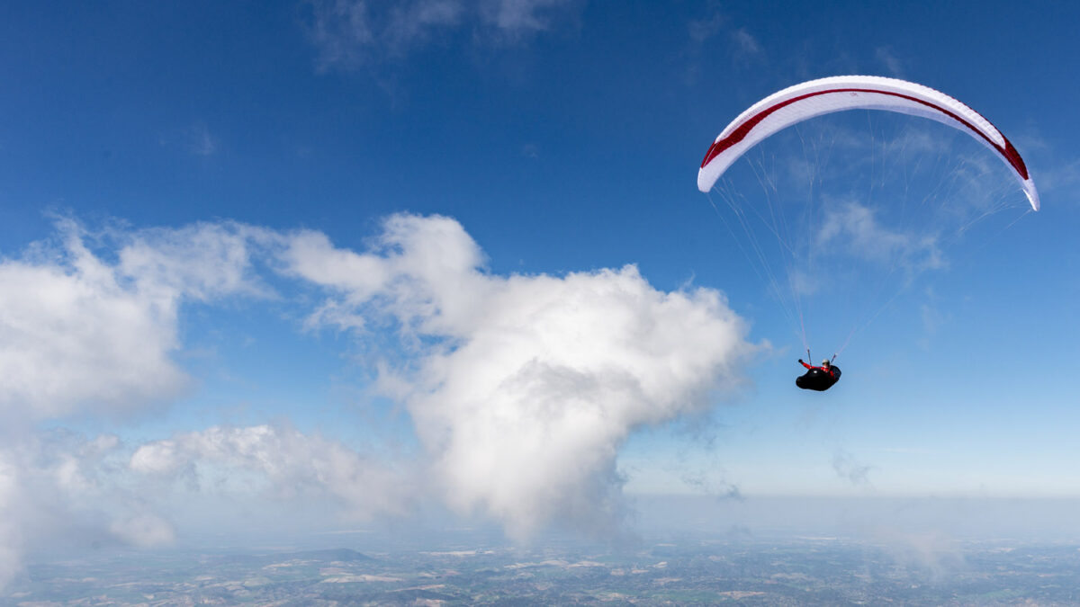 pg-leopard-169 pg-leopard-169