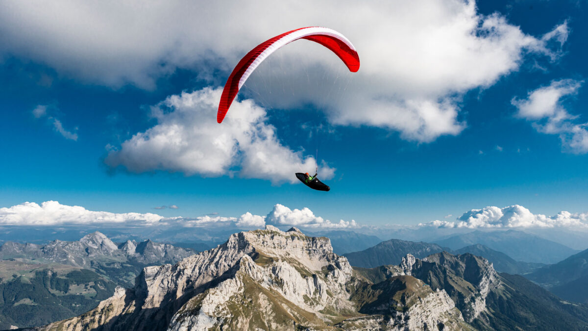 pg-leopard-240 pg-leopard-240