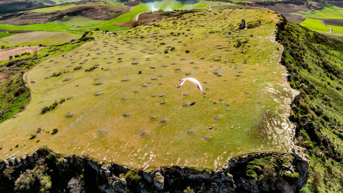 pg-leopard-33 pg-leopard-33