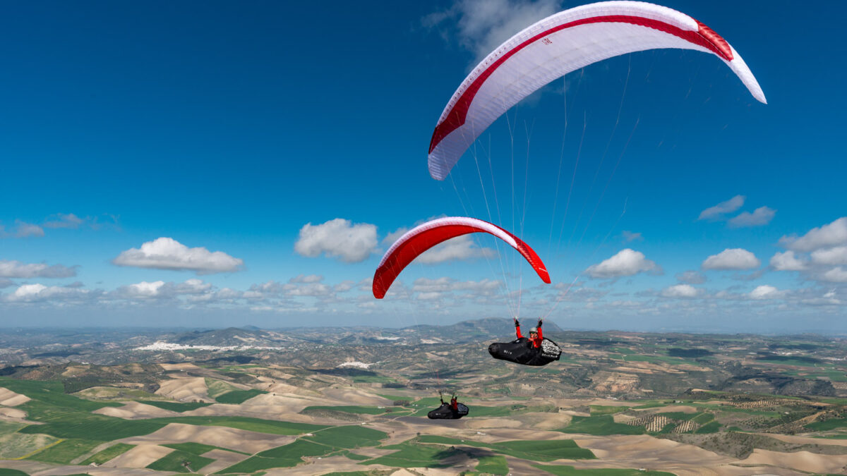 pg-leopard-71 pg-leopard-71