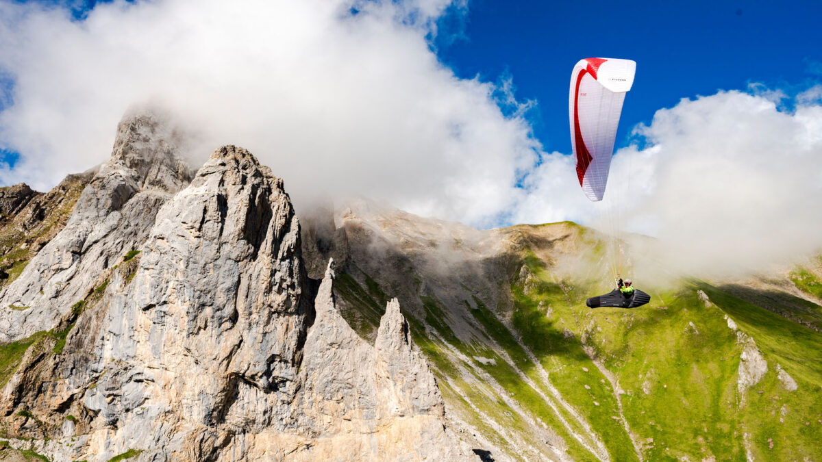 pg-puma-446 pg-puma-446