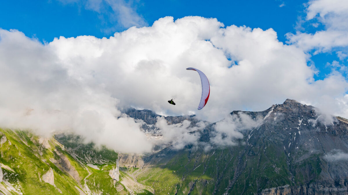 pg-puma-452 pg-puma-452