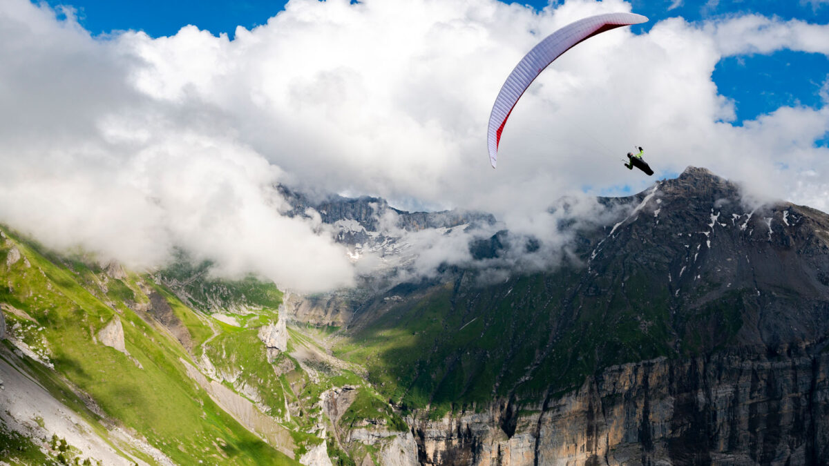 pg-puma-453 pg-puma-453