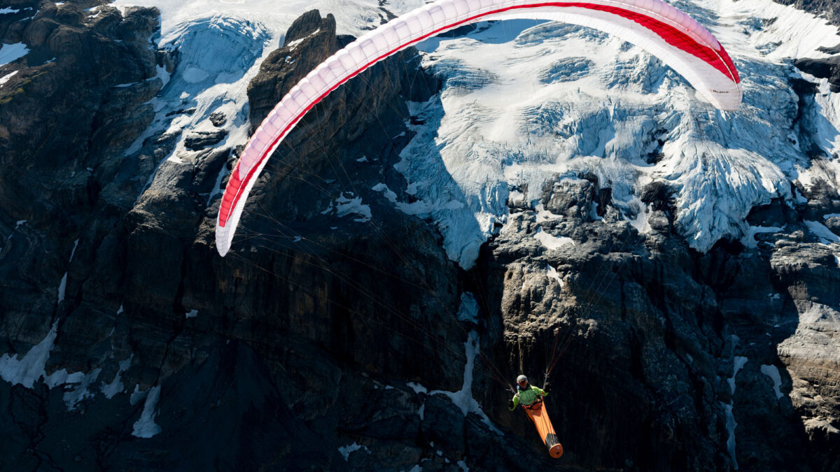 pg-puma-607 pg-puma-607