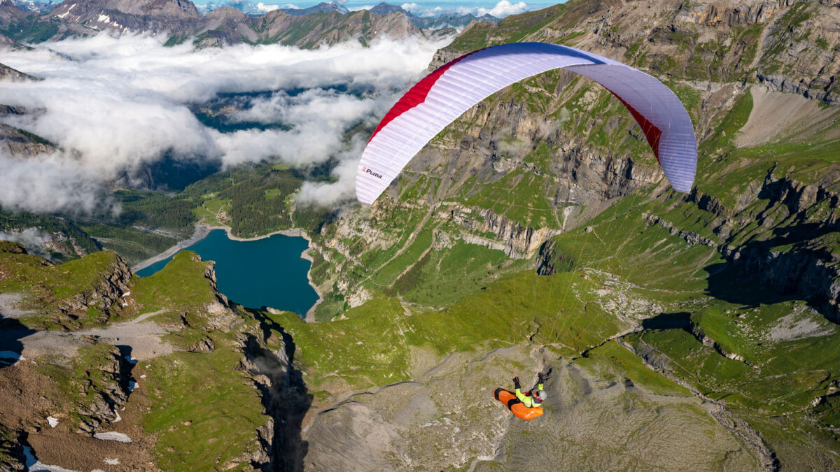 pg-puma-614 pg-puma-614