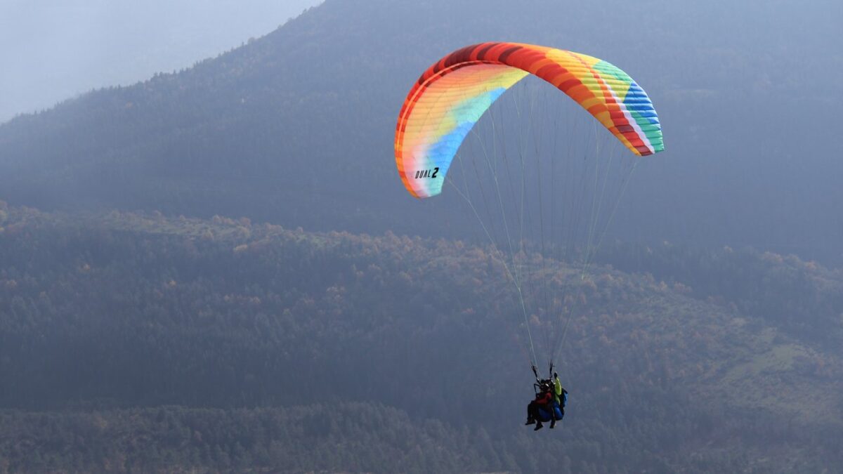 1558088324-1286 1558088324-1286