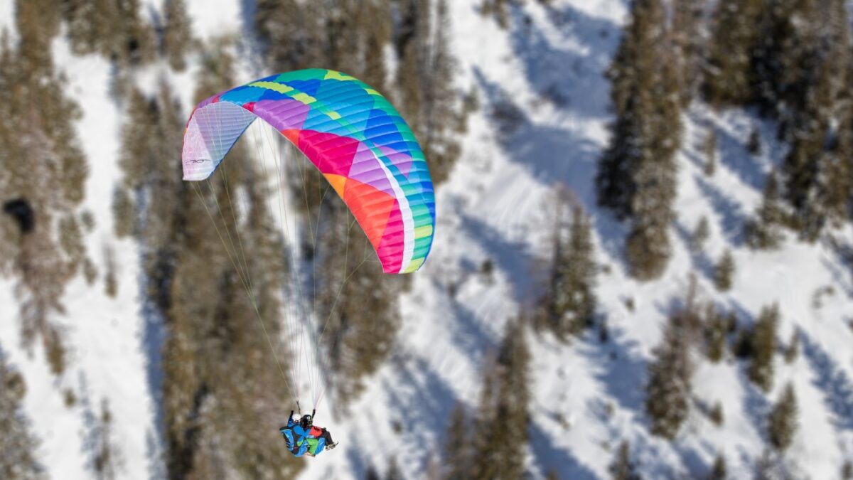 1558088501-2250 1558088501-2250