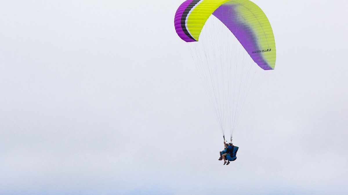 262c3911227aa3d2e9b769da98c3572d6914c39d-1200x800 262c3911227aa3d2e9b769da98c3572d6914c39d-1200x800