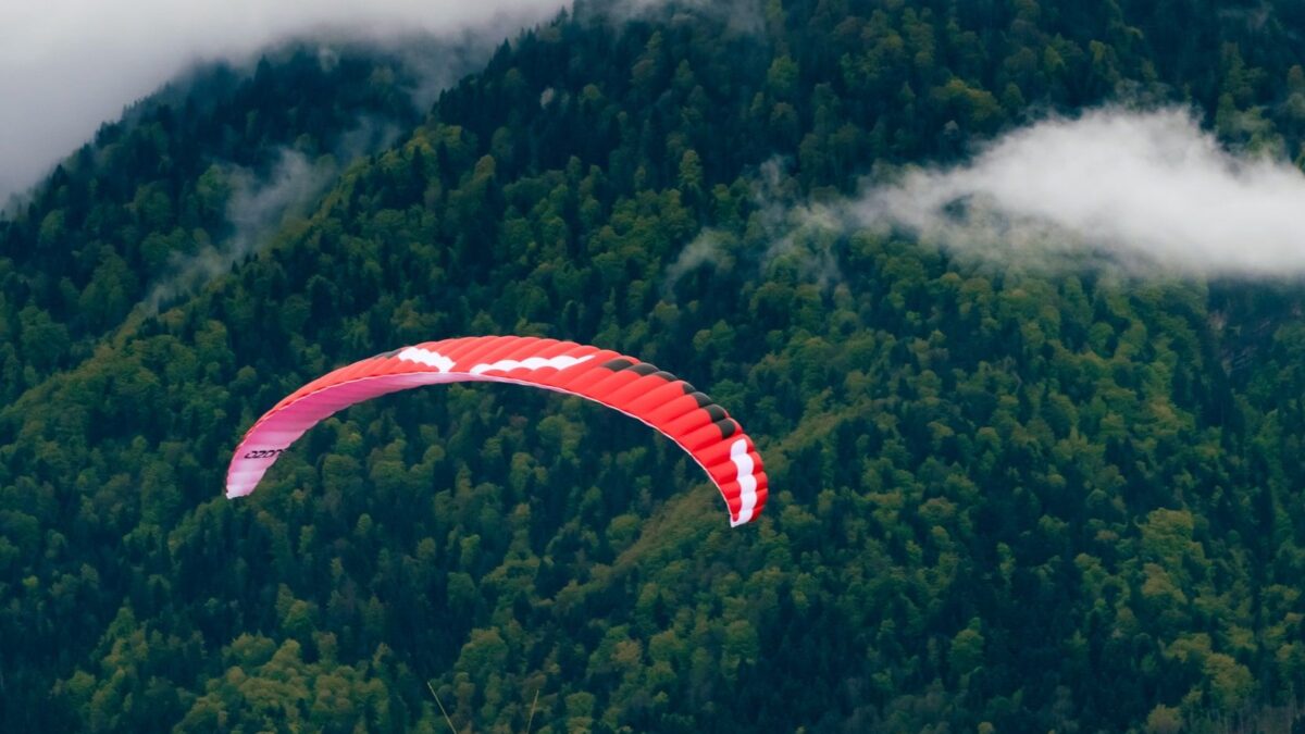 6dbd1d77dcc46549e1218d25deddd7b32ef5ceec-1667x2500 6dbd1d77dcc46549e1218d25deddd7b32ef5ceec-1667x2500