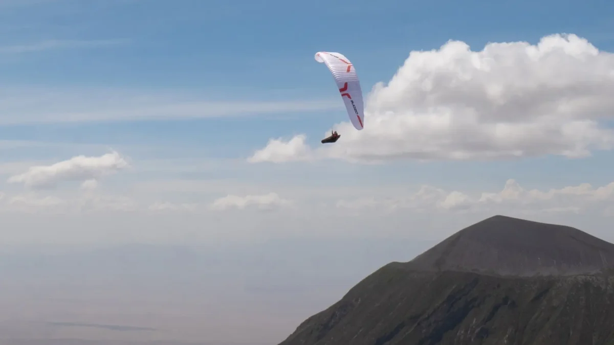 fc0a991028e492be2d0c3aeb26b72835e2c01998-2000x1250 fc0a991028e492be2d0c3aeb26b72835e2c01998-2000x1250