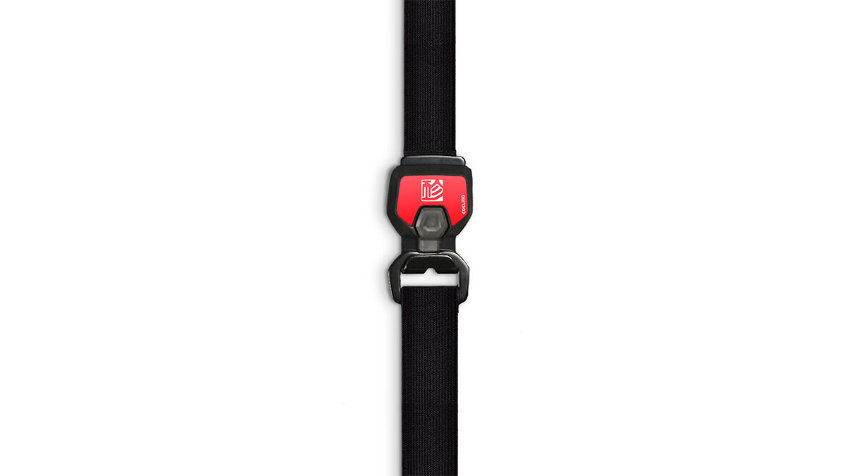 GIN_Edelrid_buckle GIN_Edelrid_buckle