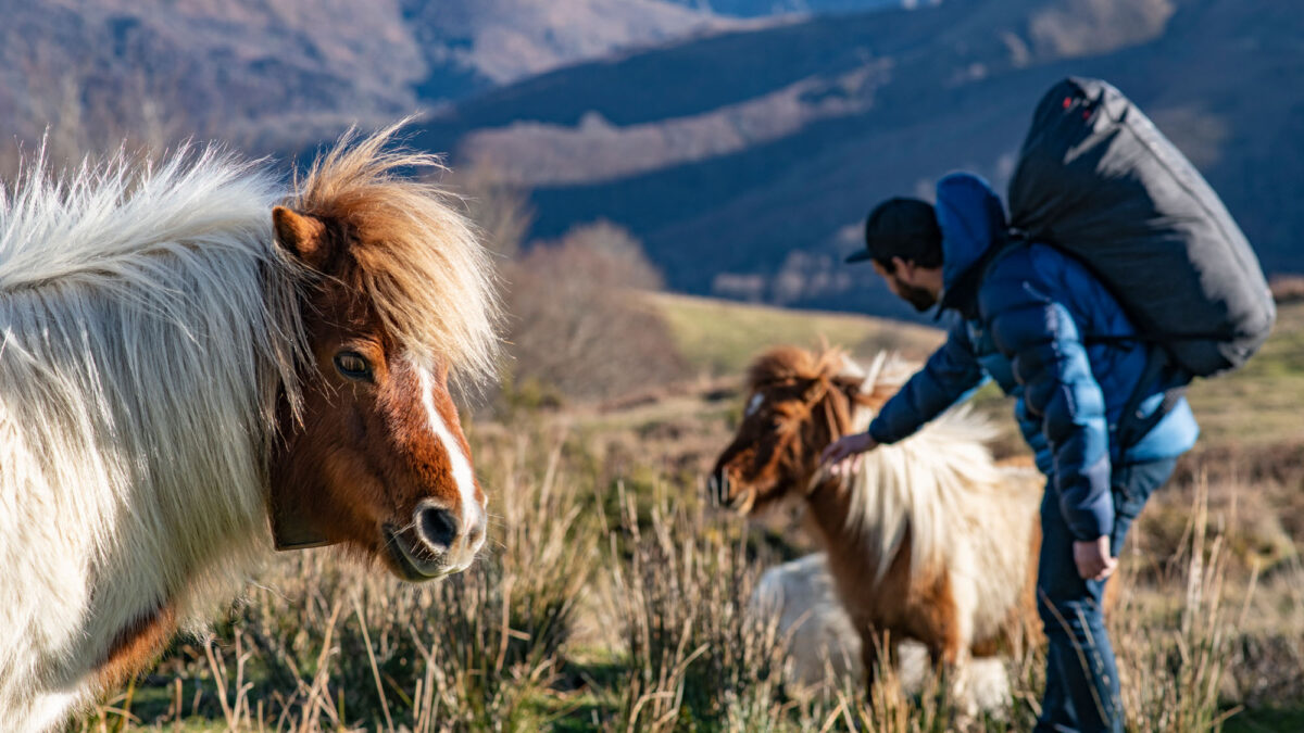 hs-switch-2-9 hs-switch-2-9