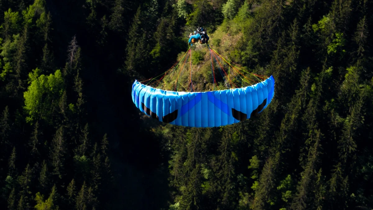 ozone-dragonfly-dive ozone-dragonfly-dive