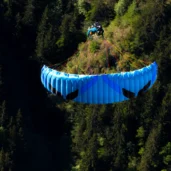 ozone-dragonfly-dive