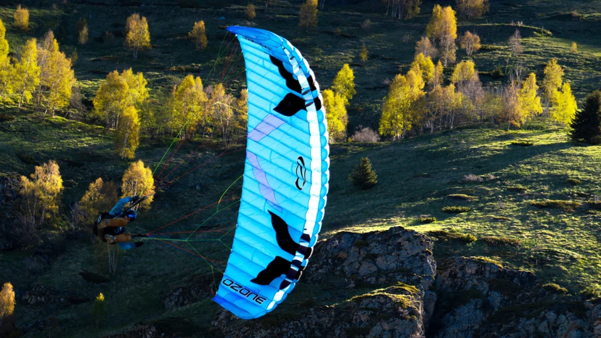 ozone-dragonfly-roll