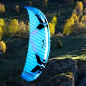 ozone-dragonfly-roll