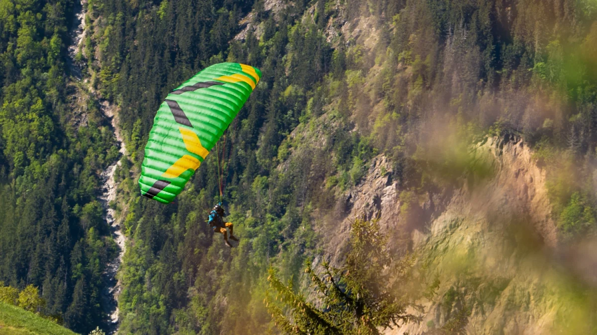 ozone-dragonfly-side-front ozone-dragonfly-side-front