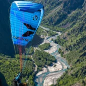 ozone-dragonfly-turn