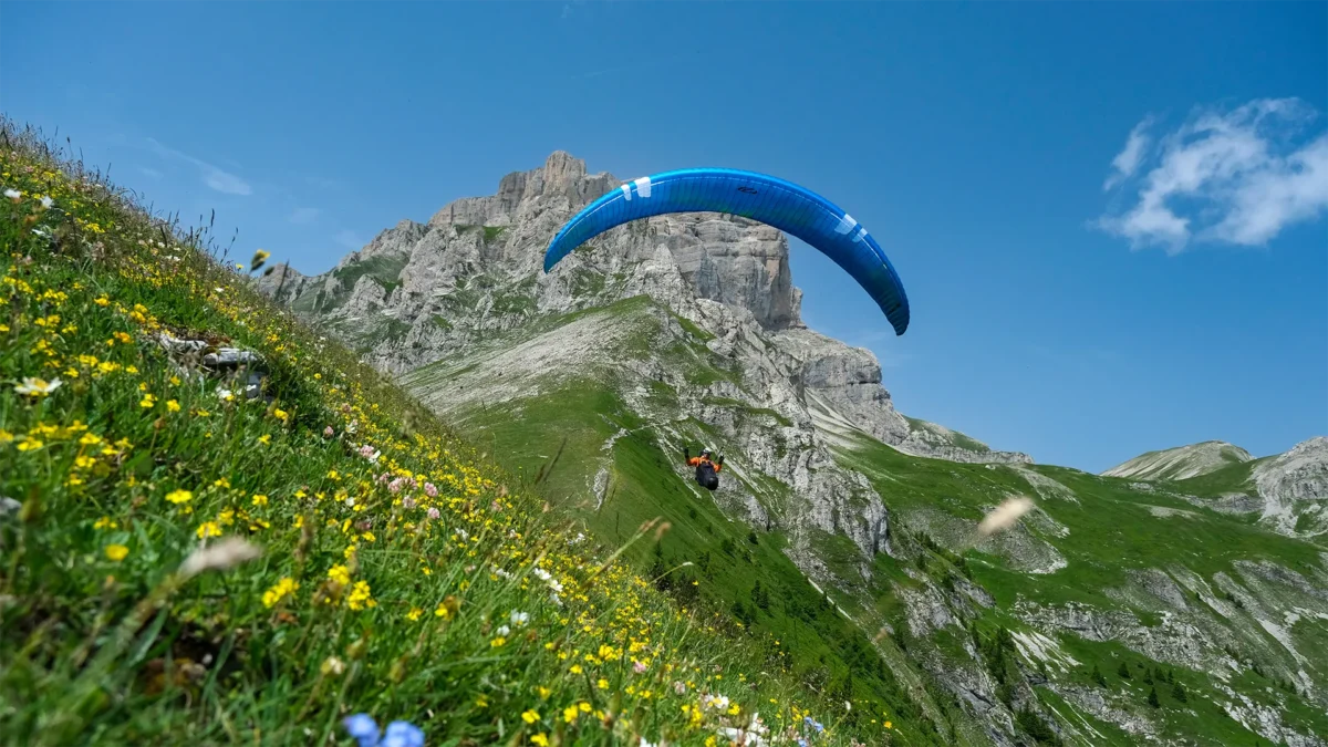 ozone-lyght-iwh-i-from-front-scratching-flower-meadow ozone-lyght-iwh-i-from-front-scratching-flower-meadow