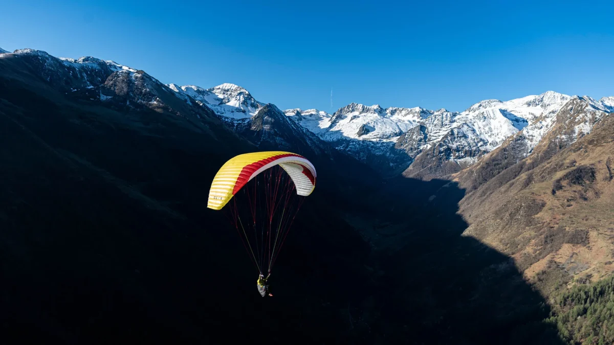 Calypso-2-lemon-in-valley Calypso-2-lemon-in-valley