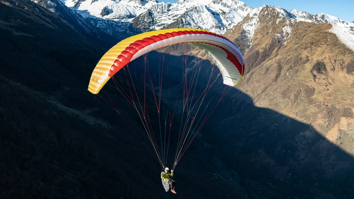 Calypso-2-lemon-in-valley-close-up Calypso-2-lemon-in-valley-close-up