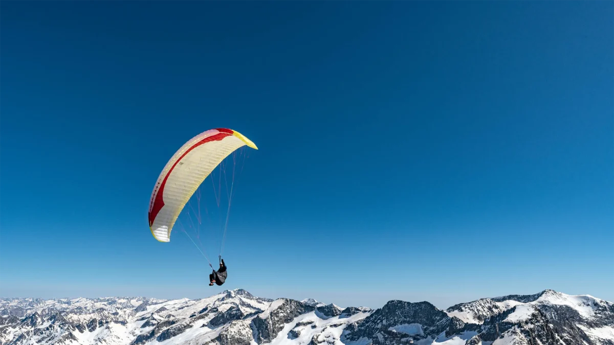 Calypso-2-lemon-soaring-high Calypso-2-lemon-soaring-high