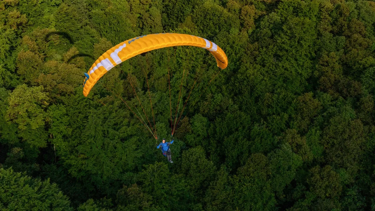 AltaGT-skogbakgrunn AltaGT-skogbakgrunn