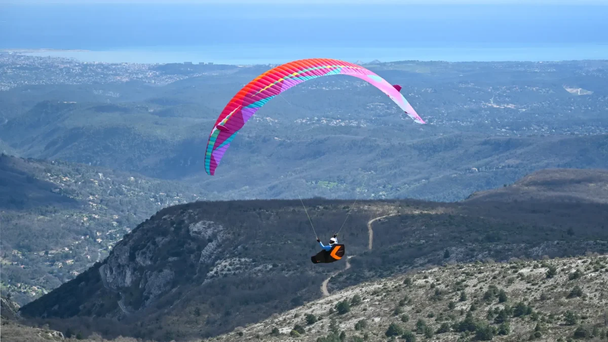 BGD-Cure-3-3 BGD-Cure-3-3