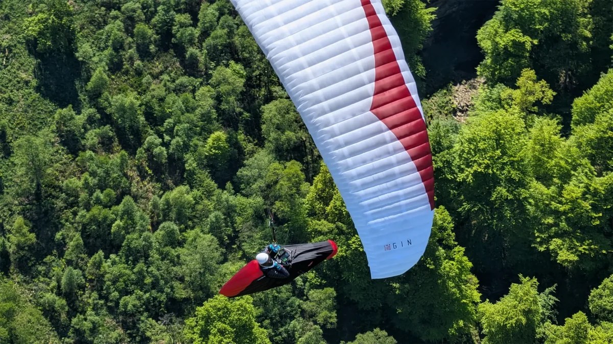 Yeti-race-i-lufta-skog-i-bakgrunnen Yeti-race-i-lufta-skog-i-bakgrunnen