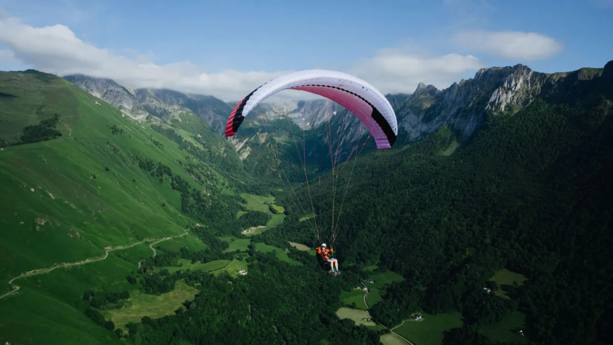 GIN-Elise-forfra GIN-Elise-forfra