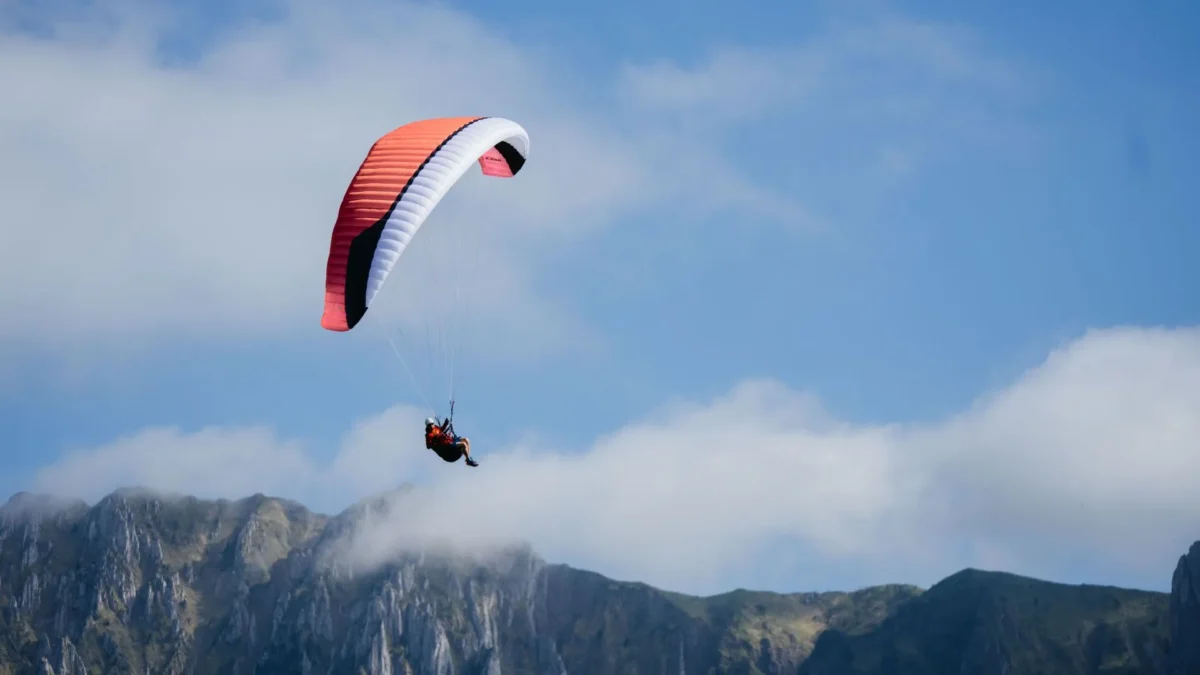 GIN-Elise-sittesele GIN-Elise-sittesele