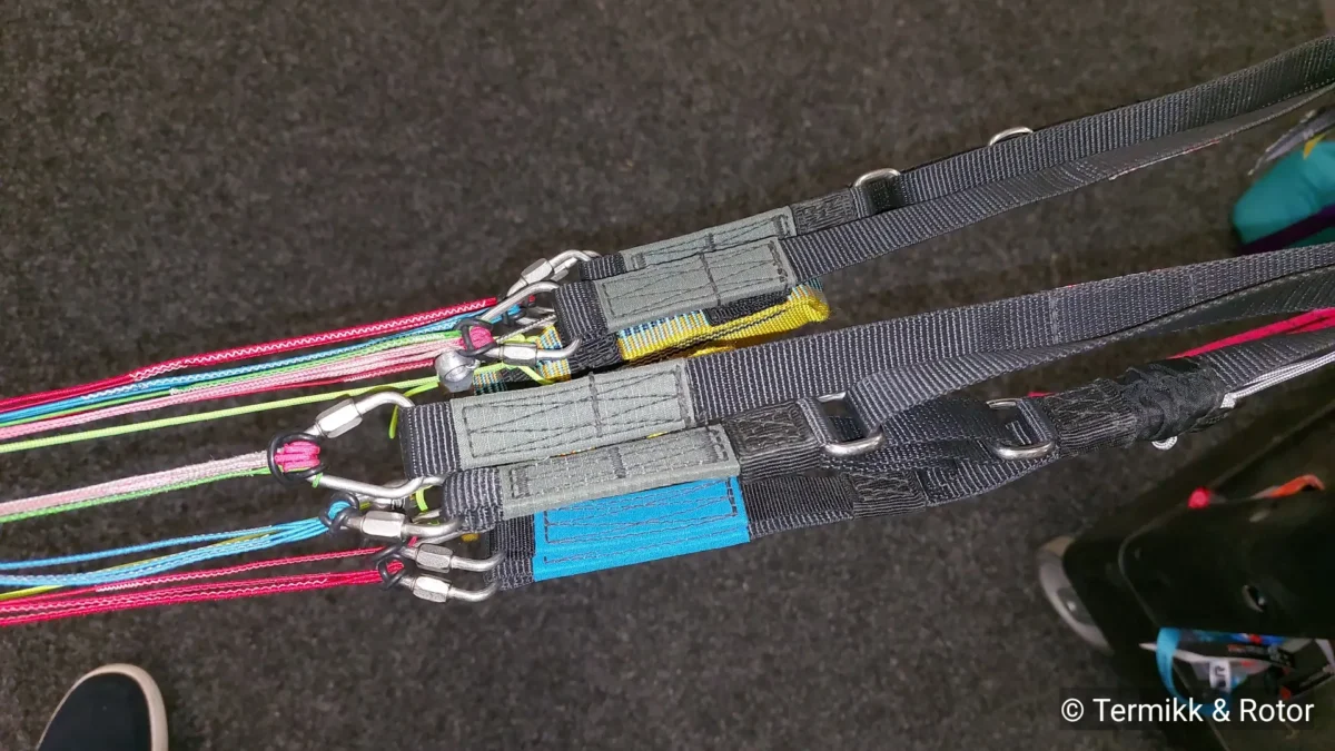 1000036293 1000036293