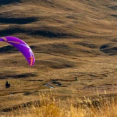 ozone-vibe-gt-sunset-soaring-left-side-back-seated-harness