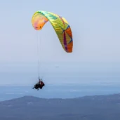bgd-dual-3-lemon-side-view-against-cote-d-azur