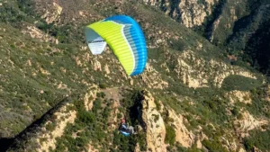 Ozone Buzz Z6 L