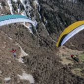 gin-explorer-3-mint-and-honey-on-glide-side-by-side-from-ridge