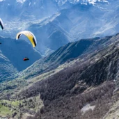 gin-explorer-3-mint-and-honey-on-glide-side-by-side-towards-ridge